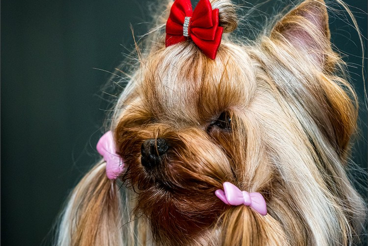 Blog. Photographe à Strasbourg | Portraits, Studio, Enfants, Événements
