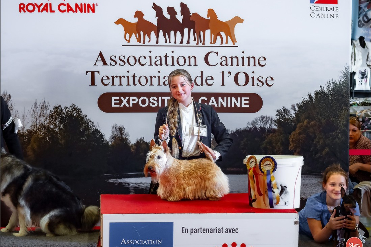 Blog. Photographe à Strasbourg | Portraits, Studio, Enfants, Événements