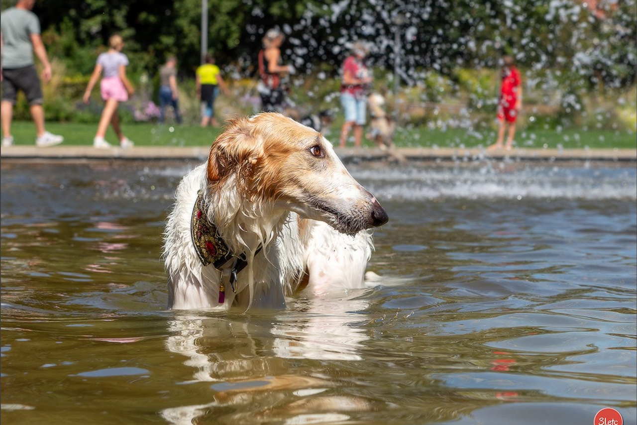 Blog. Photographe à Strasbourg | Portraits, Studio, Enfants, Événements