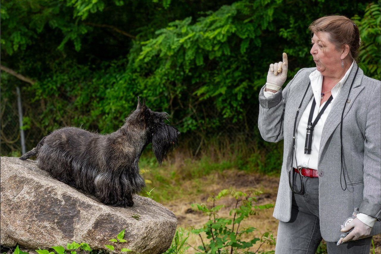 Blog. Photographe à Strasbourg | Portraits, Studio, Enfants, Événements