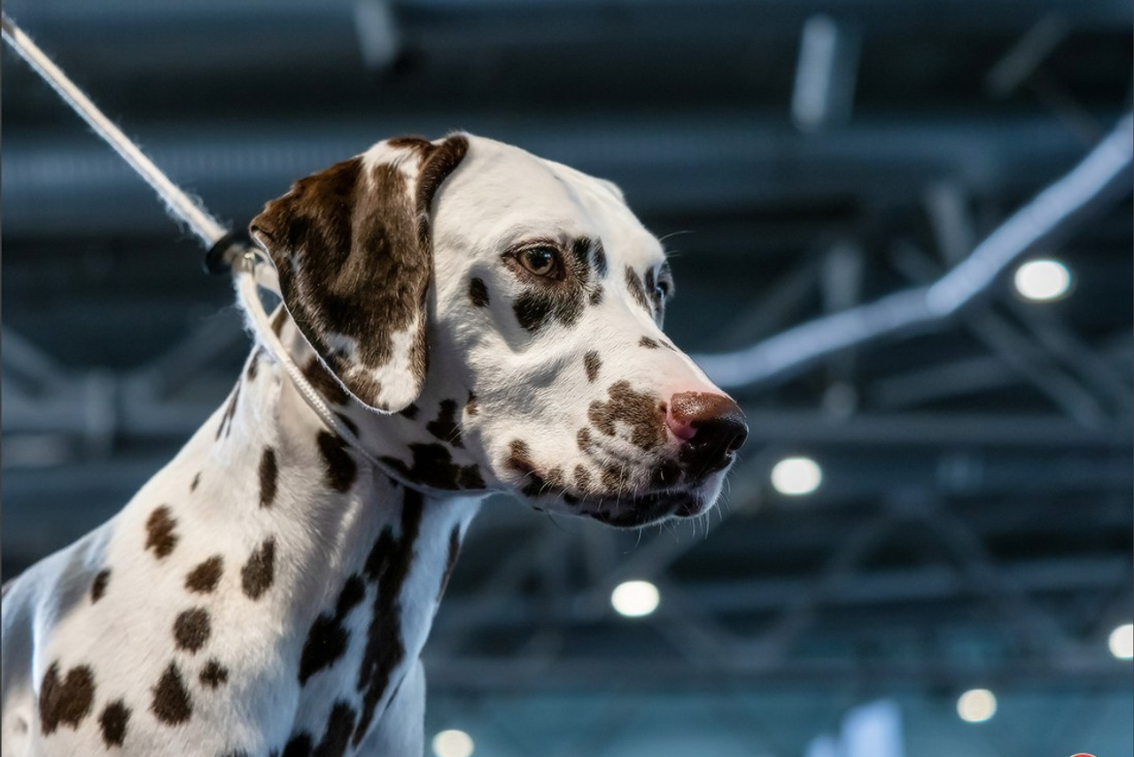 Blog. Photographe à Strasbourg | Portraits, Studio, Enfants, Événements