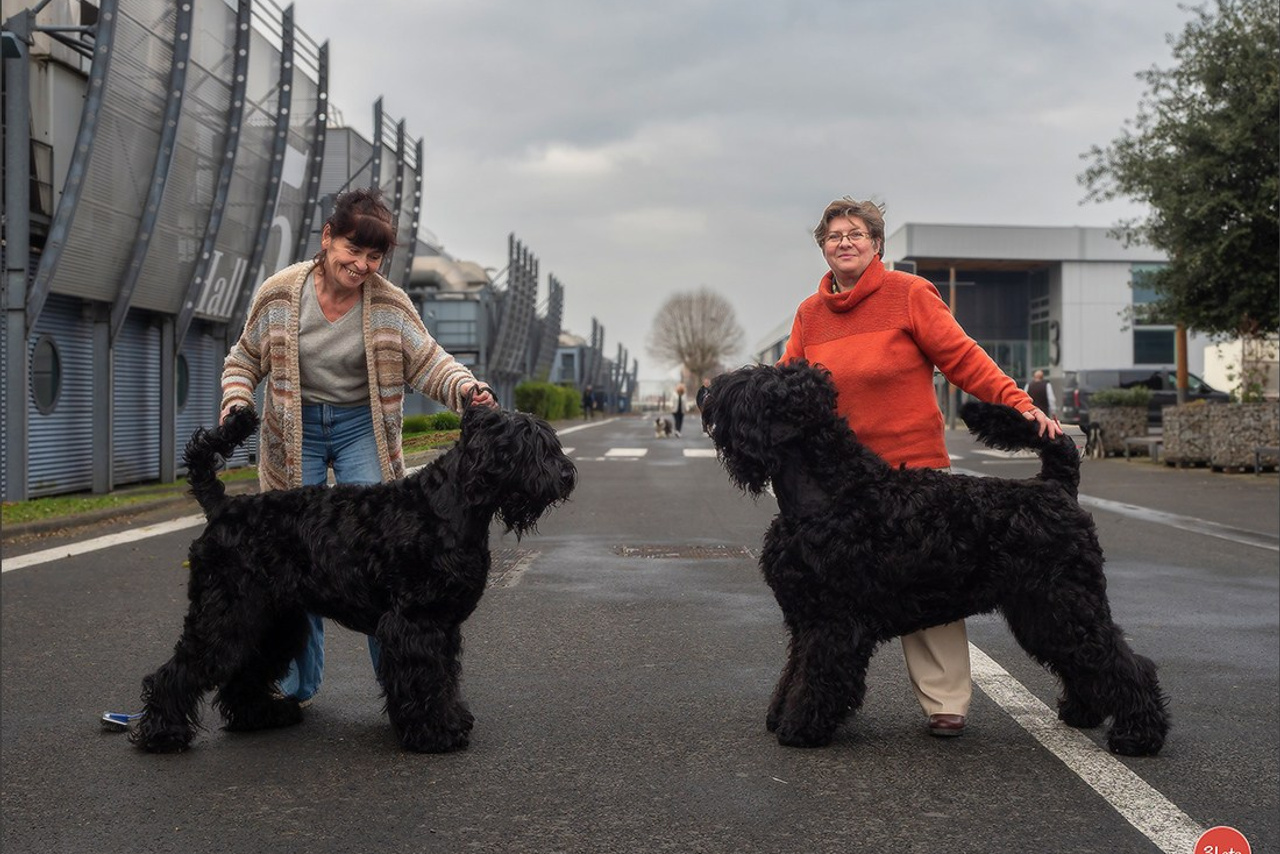 Blog. Photographe à Strasbourg | Portraits, Studio, Enfants, Événements