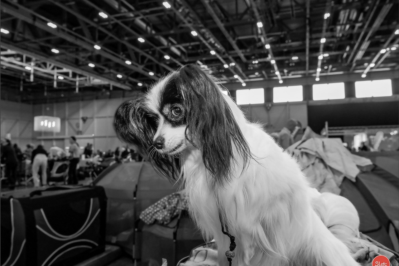 Blog. Photographe à Strasbourg | Portraits, Studio, Enfants, Événements