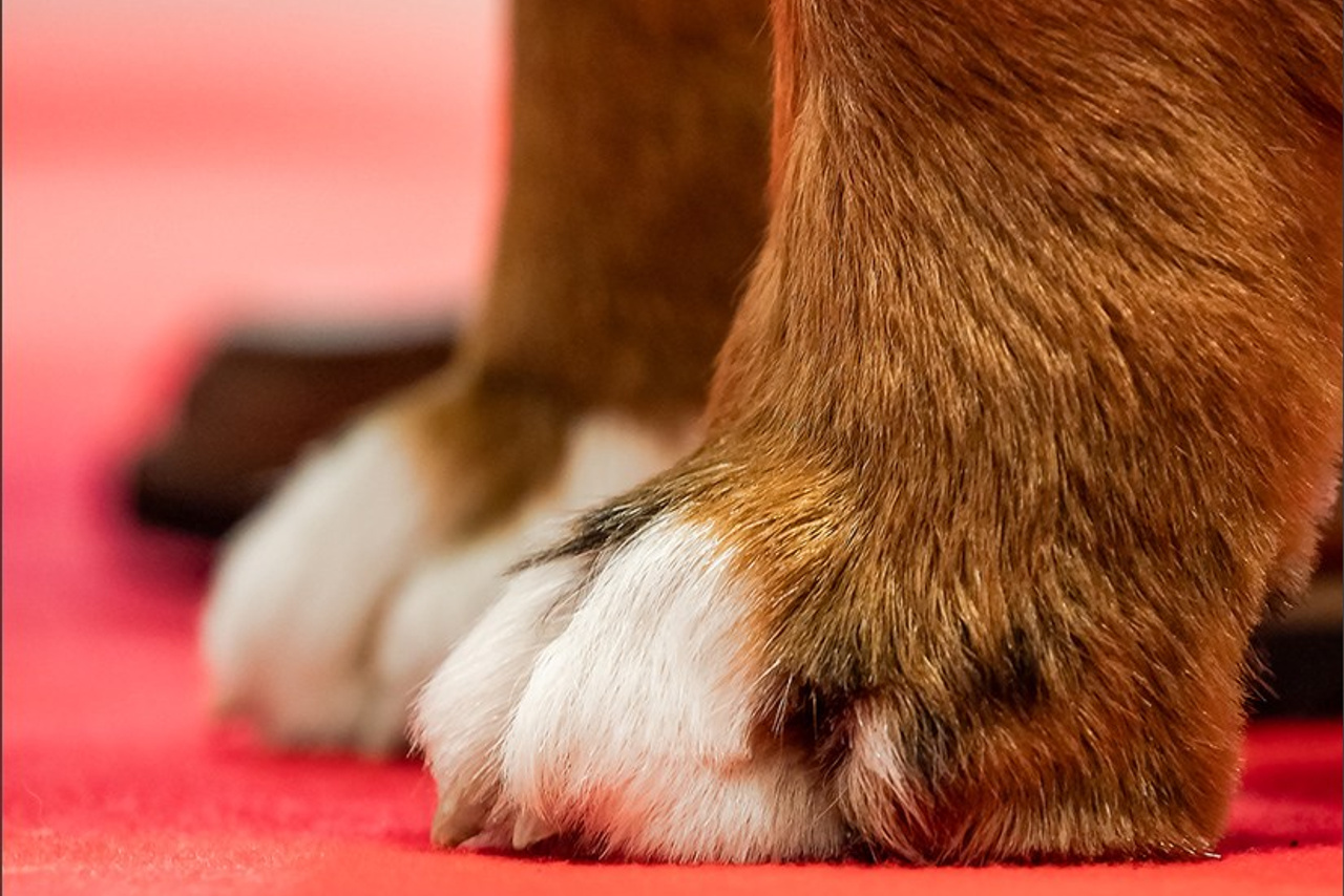 Blog. Photographe à Strasbourg | Portraits, Studio, Enfants, Événements