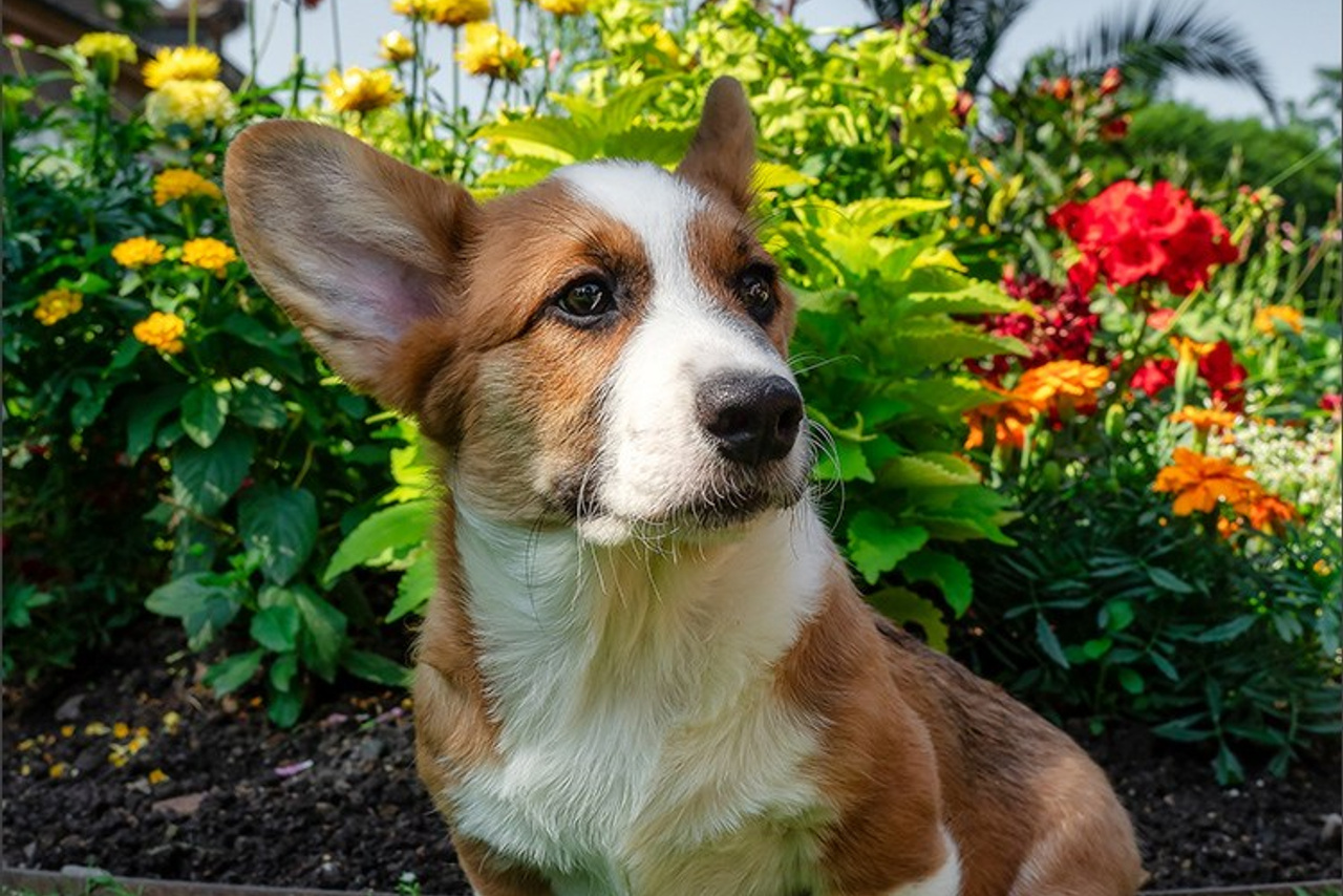 Blog. Photographe à Strasbourg | Portraits, Studio, Enfants, Événements