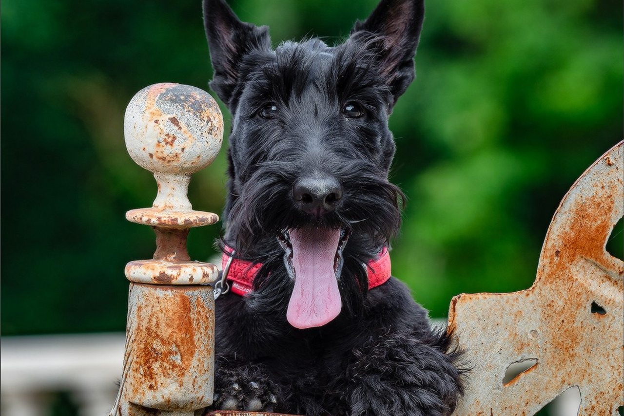 Blog. Photographe à Strasbourg | Portraits, Studio, Enfants, Événements