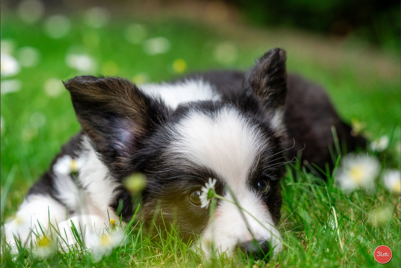 Blog. Photographe à Strasbourg | Portraits, Studio, Enfants, Événements