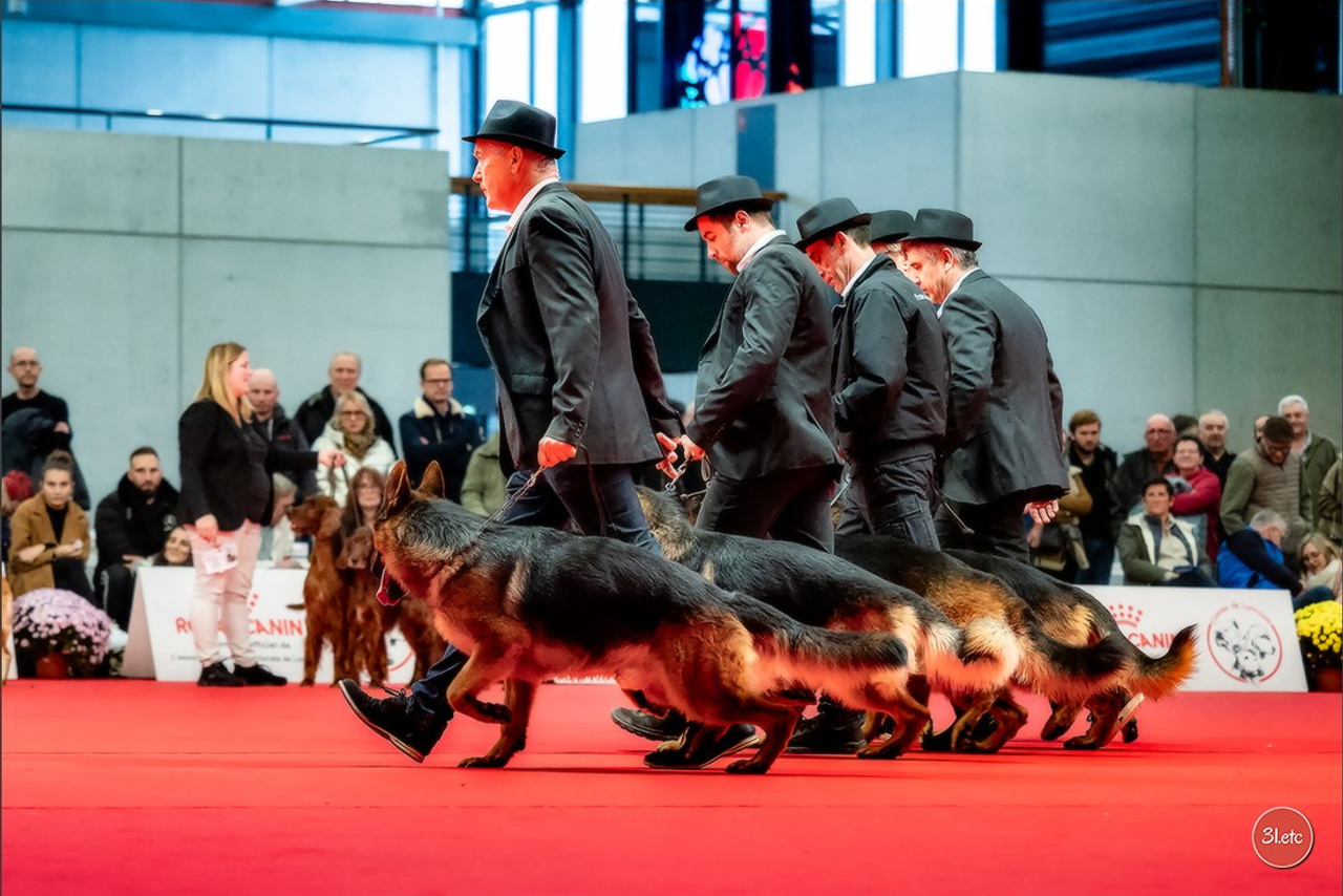 Blog. Photographe à Strasbourg | Portraits, Studio, Enfants, Événements