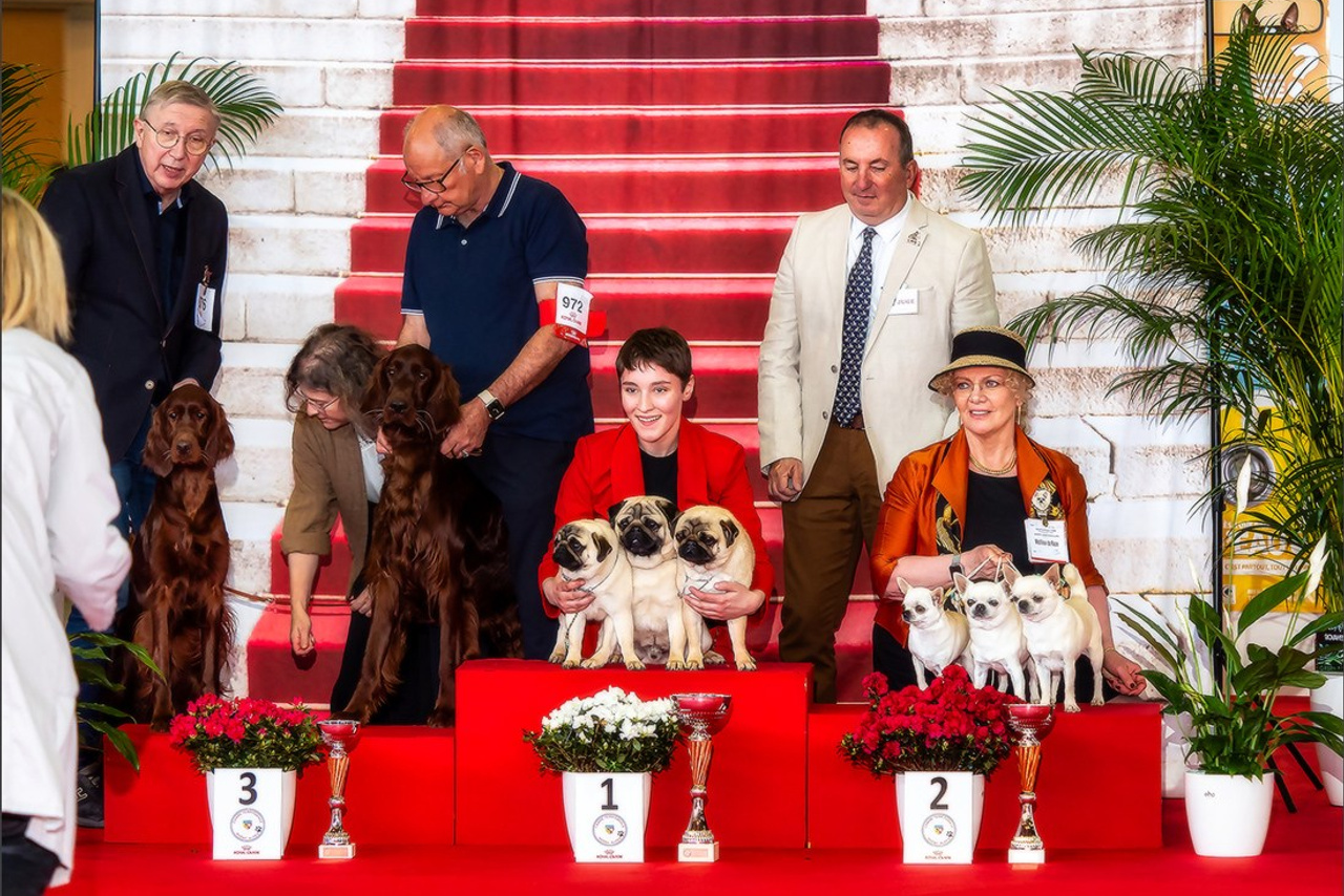 Blog. Photographe à Strasbourg | Portraits, Studio, Enfants, Événements