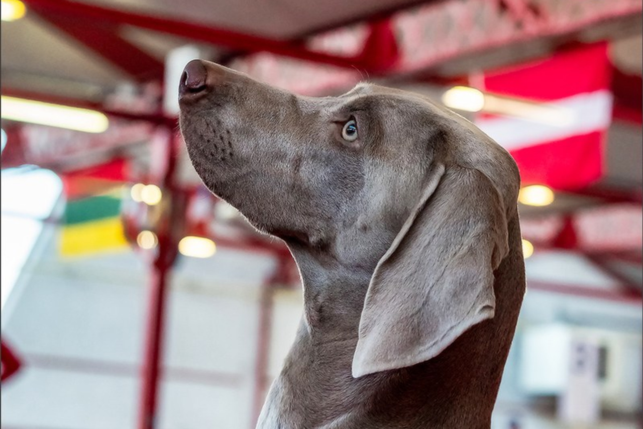 Blog. Photographe à Strasbourg | Portraits, Studio, Enfants, Événements