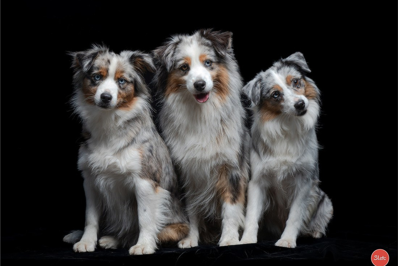 Blog. Photographe à Strasbourg | Portraits, Studio, Enfants, Événements