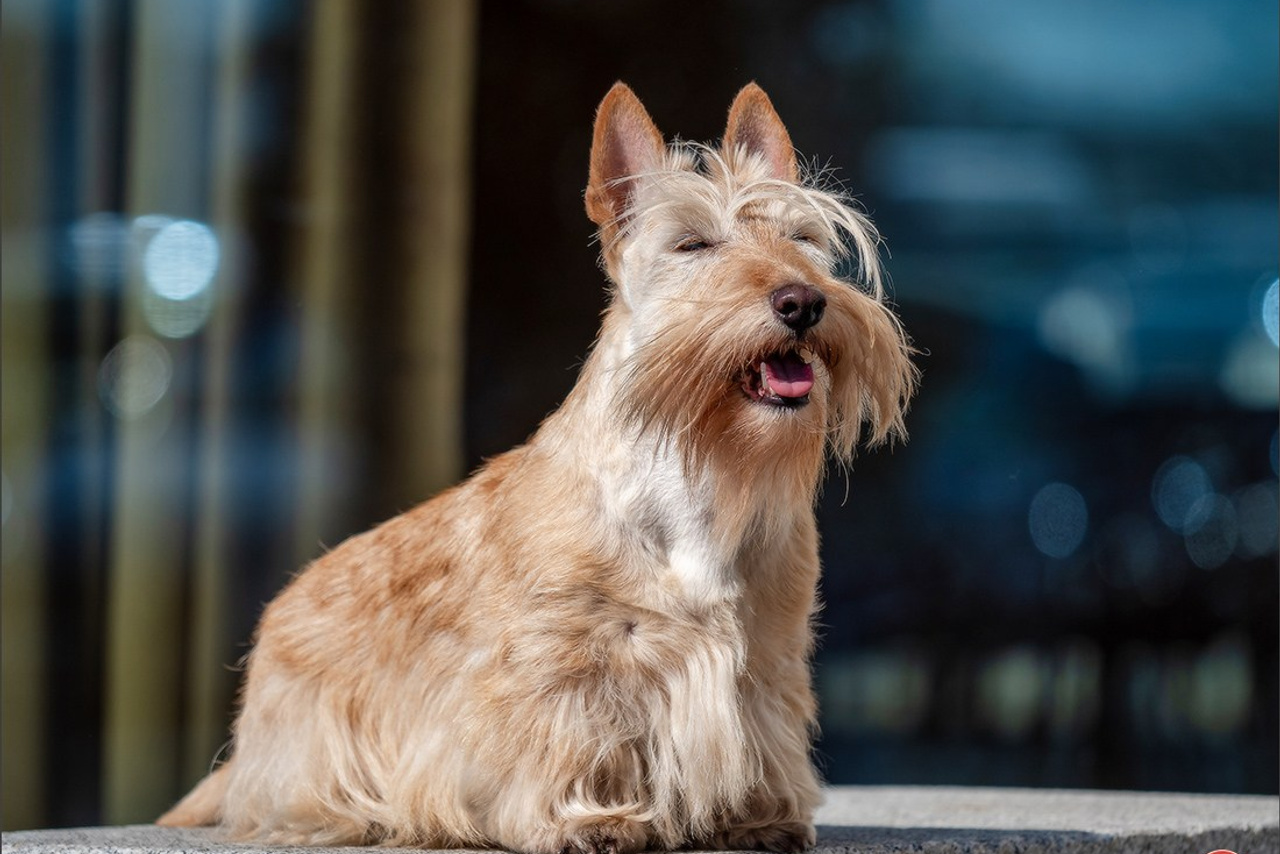 Blog. Photographe à Strasbourg | Portraits, Studio, Enfants, Événements