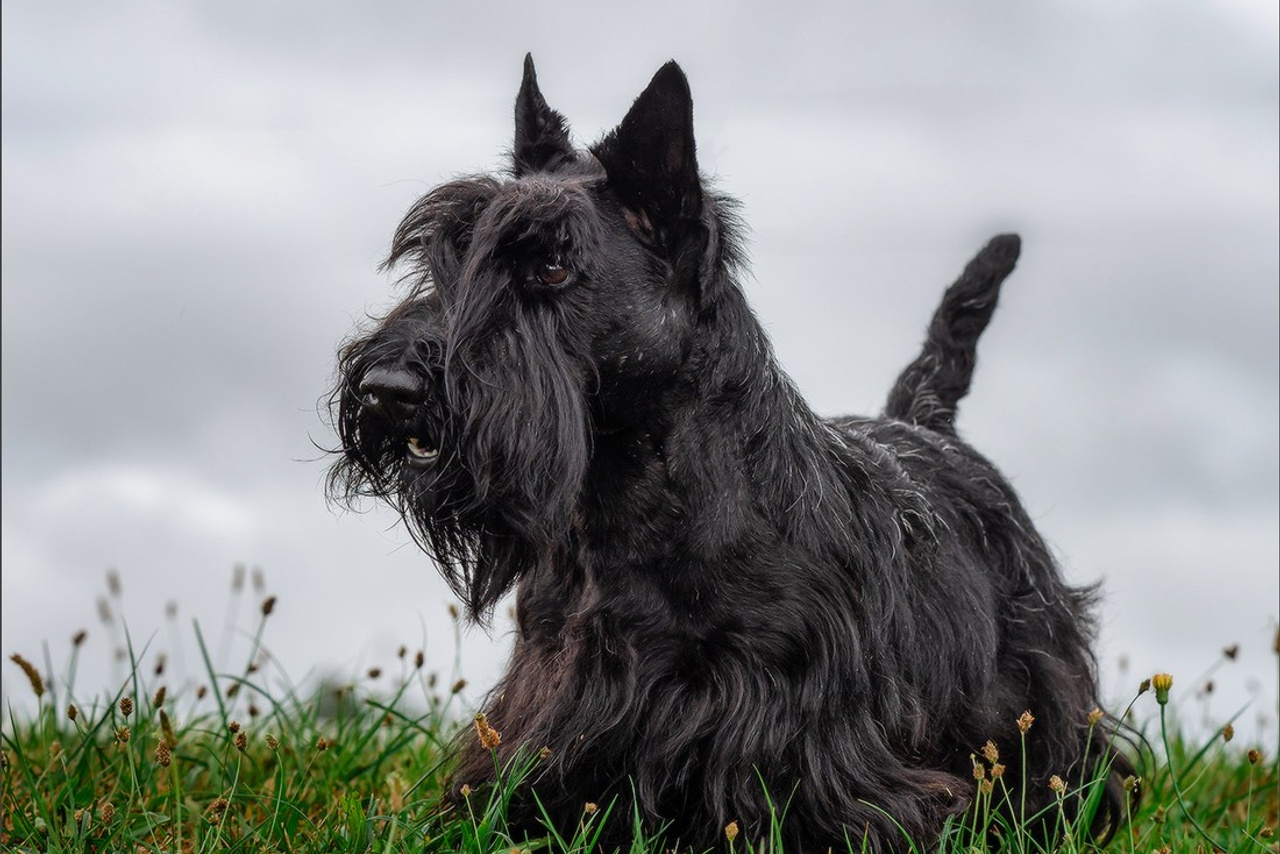 Blog. Photographe à Strasbourg | Portraits, Studio, Enfants, Événements