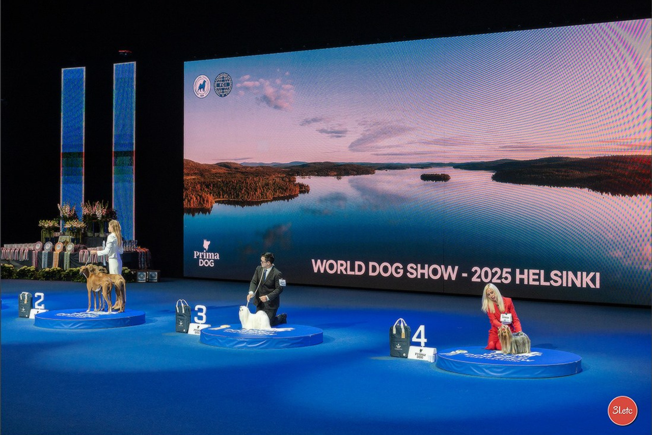 Blog. Photographe à Strasbourg | Portraits, Studio, Enfants, Événements