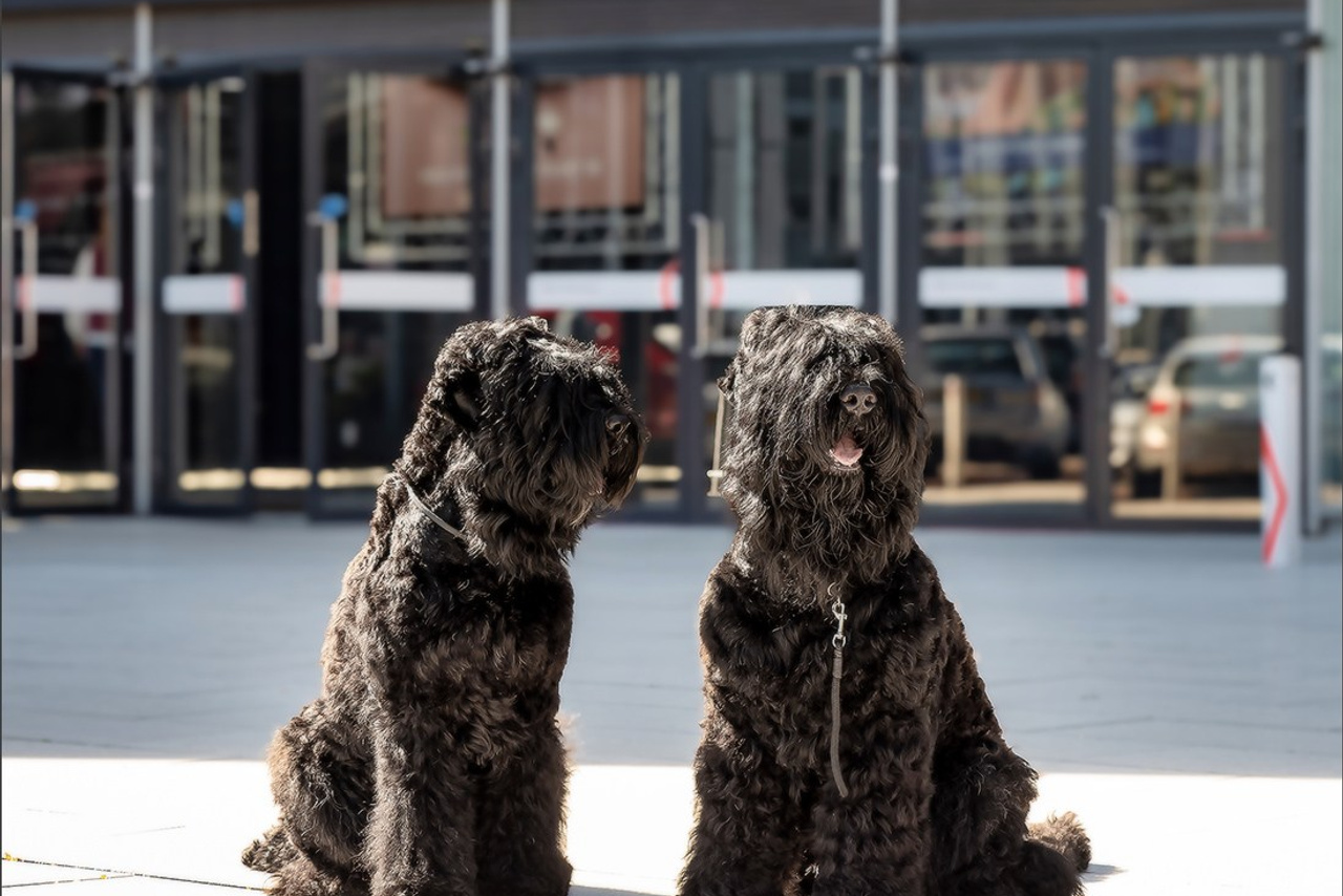 Blog. Photographe à Strasbourg | Portraits, Studio, Enfants, Événements