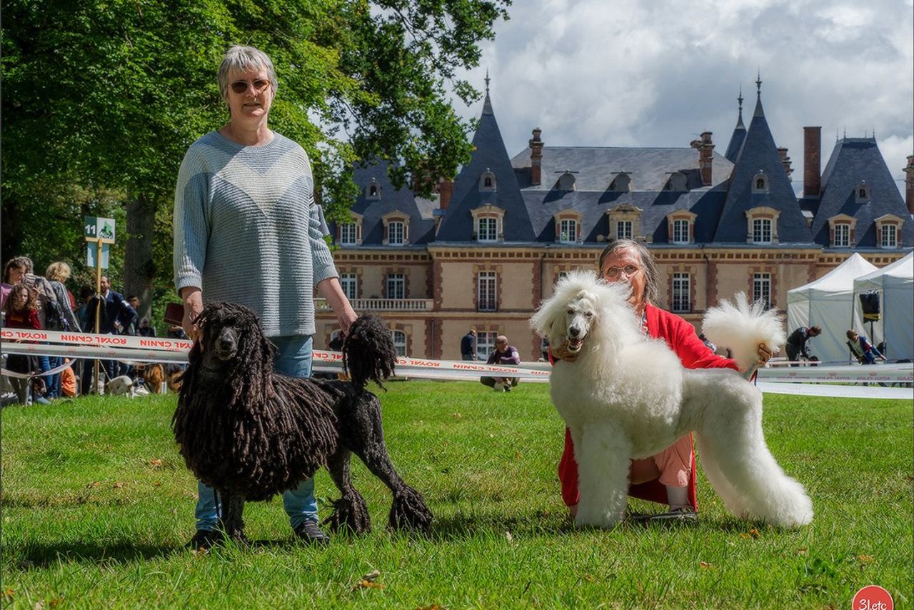 Blog. Photographe à Strasbourg | Portraits, Studio, Enfants, Événements
