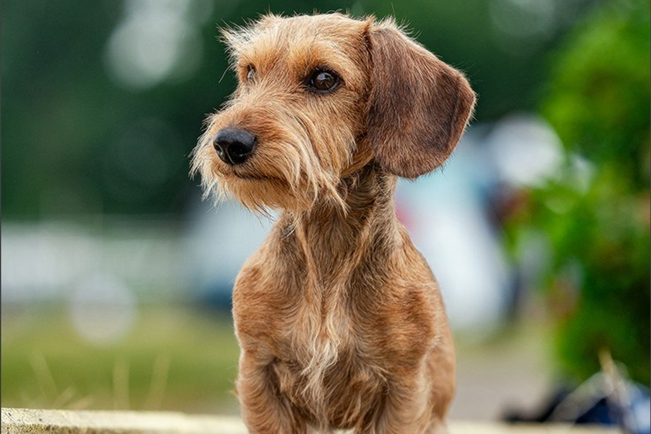 Blog. Photographe à Strasbourg | Portraits, Studio, Enfants, Événements