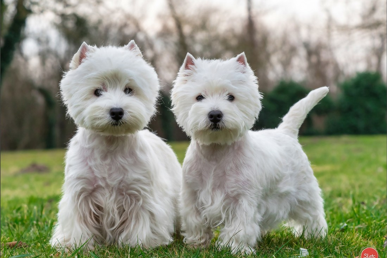 Blog. Photographe à Strasbourg | Portraits, Studio, Enfants, Événements