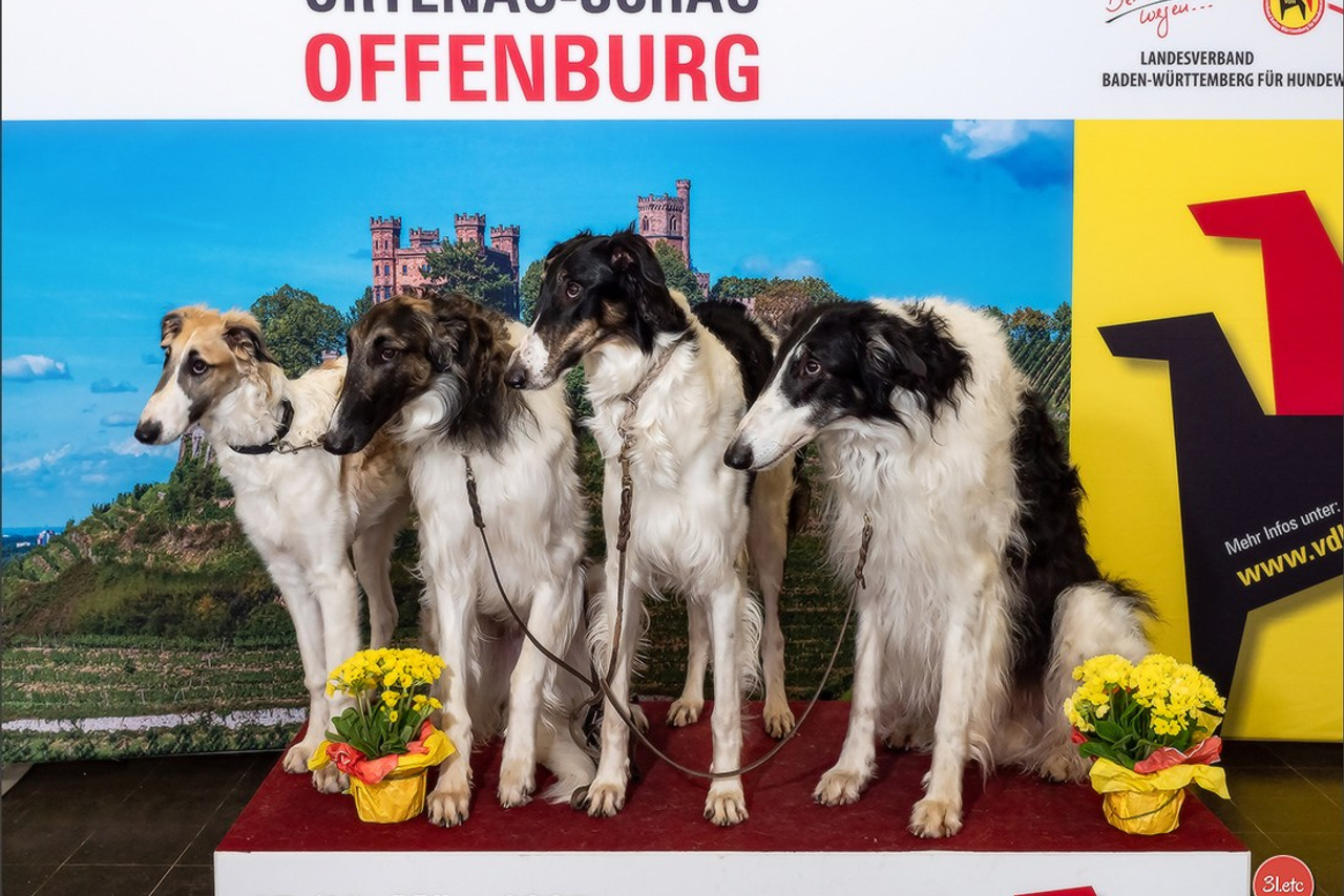 Blog. Photographe à Strasbourg | Portraits, Studio, Enfants, Événements