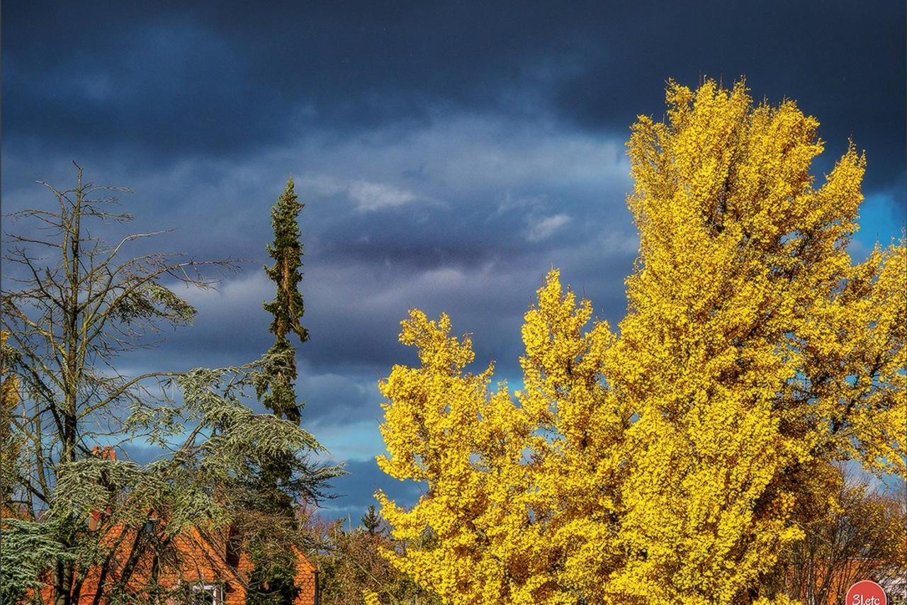 Красивые, энергичные, еще и поют). Photographe à Strasbourg | Portraits, Studio, Enfants, Événements