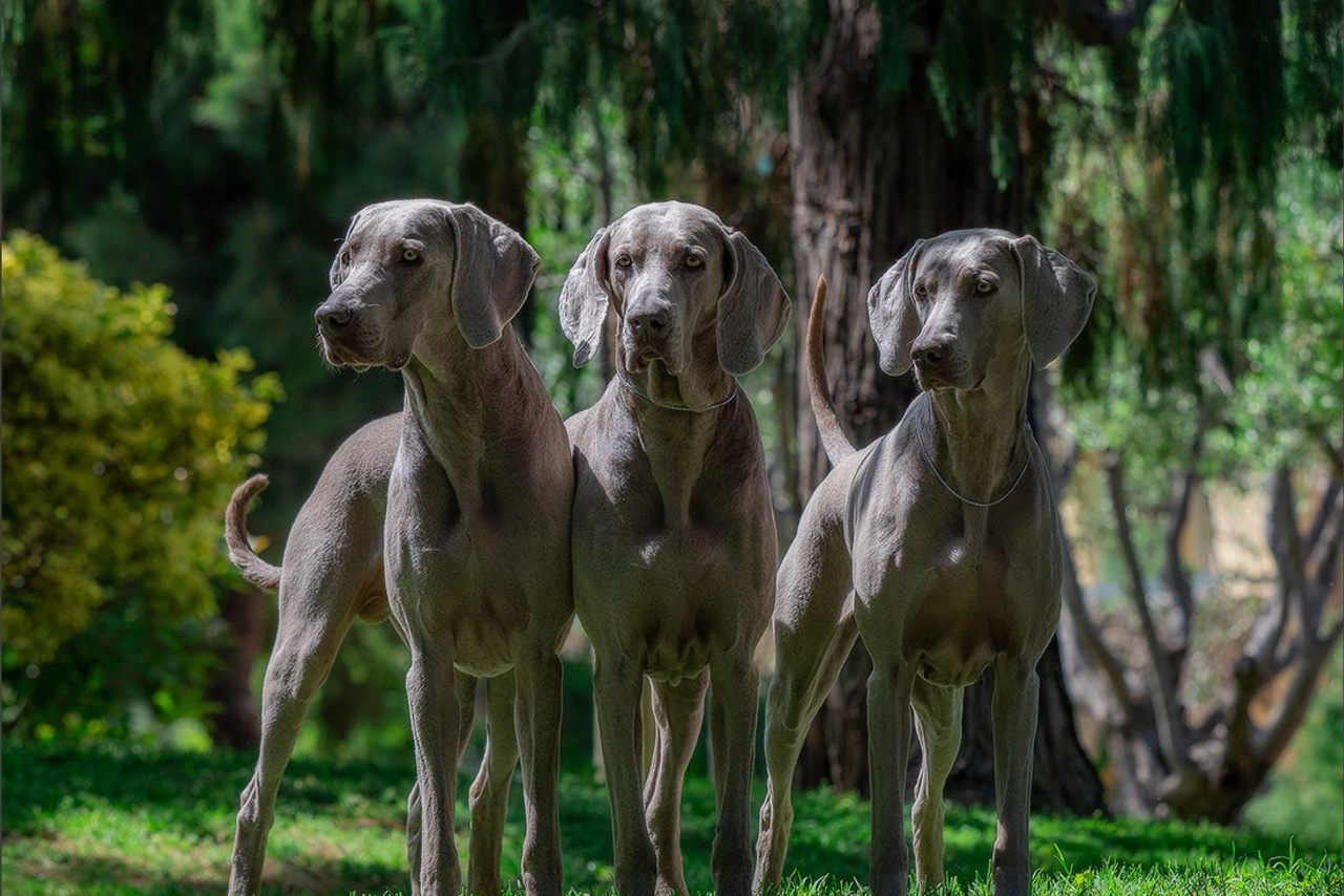 Blog. Photographe à Strasbourg | Portraits, Studio, Enfants, Événements