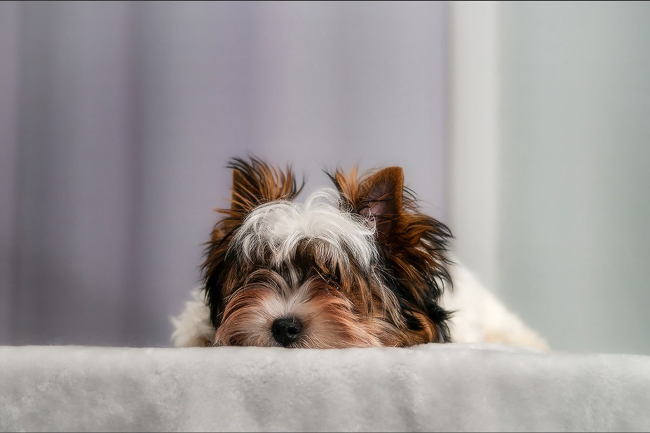 Blog. Photographe à Strasbourg | Portraits, Studio, Enfants, Événements