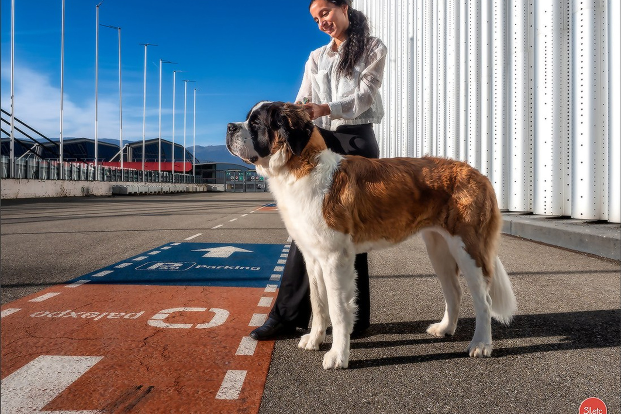 Blog. Photographe à Strasbourg | Portraits, Studio, Enfants, Événements