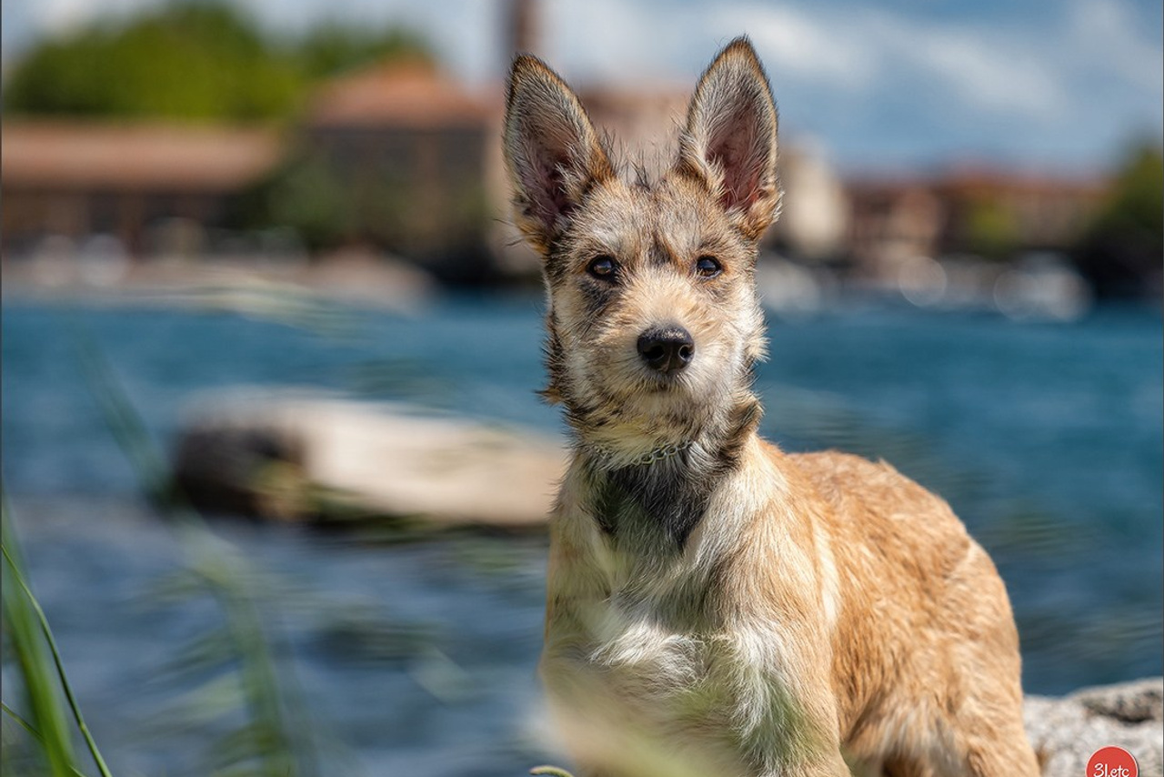 Blog. Photographe à Strasbourg | Portraits, Studio, Enfants, Événements
