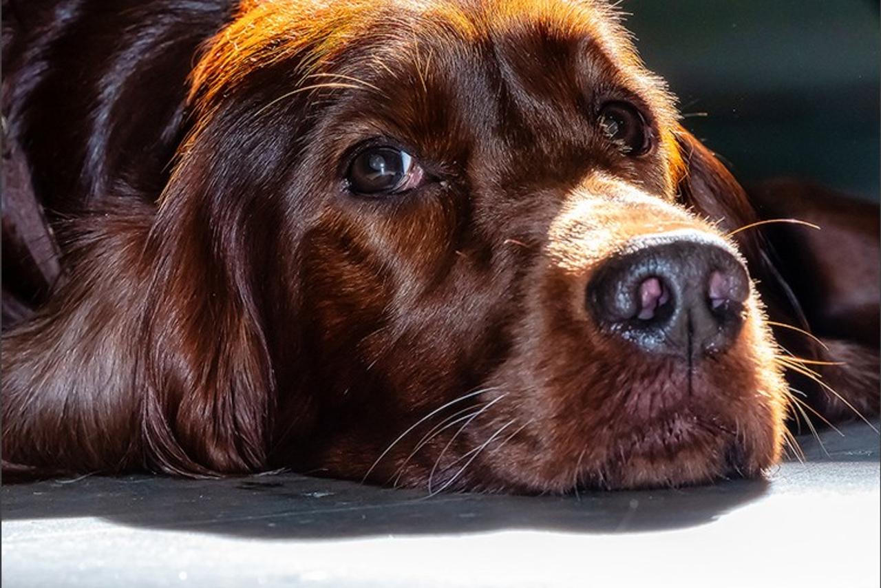Blog. Photographe à Strasbourg | Portraits, Studio, Enfants, Événements