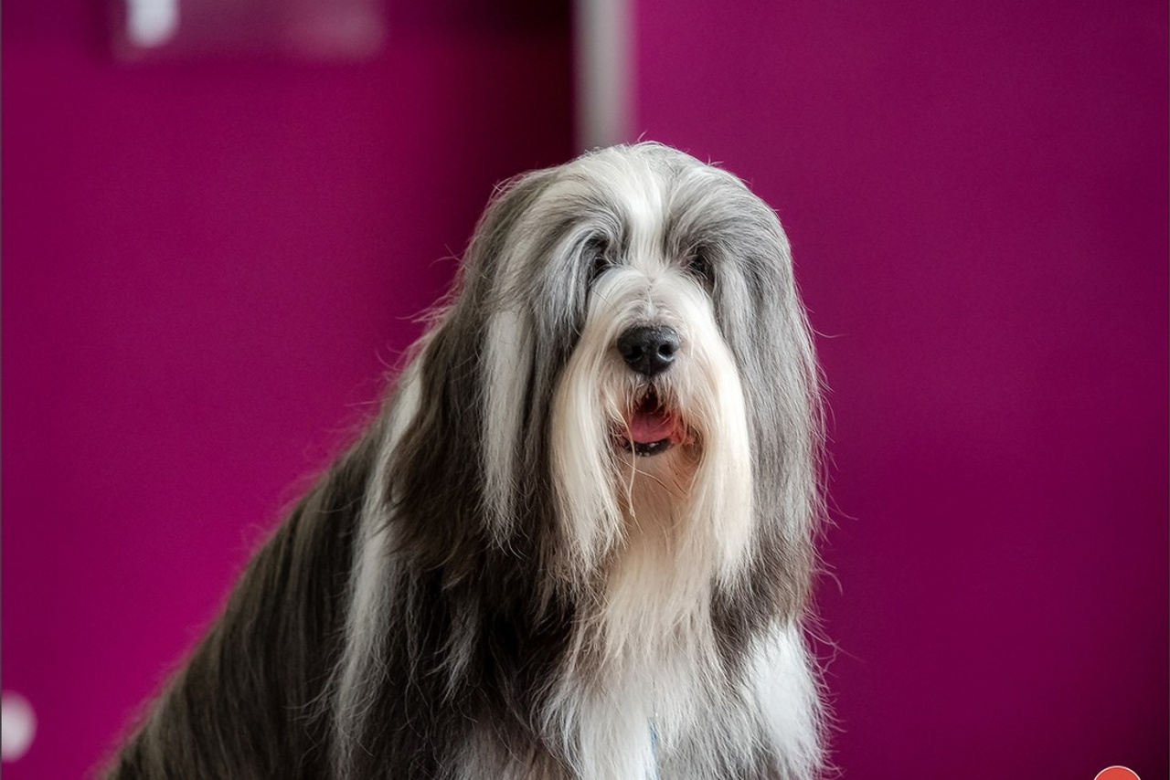 Blog. Photographe à Strasbourg | Portraits, Studio, Enfants, Événements