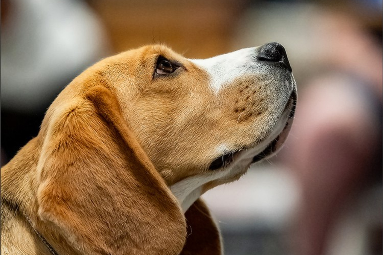 Blog. Photographe à Strasbourg | Portraits, Studio, Enfants, Événements