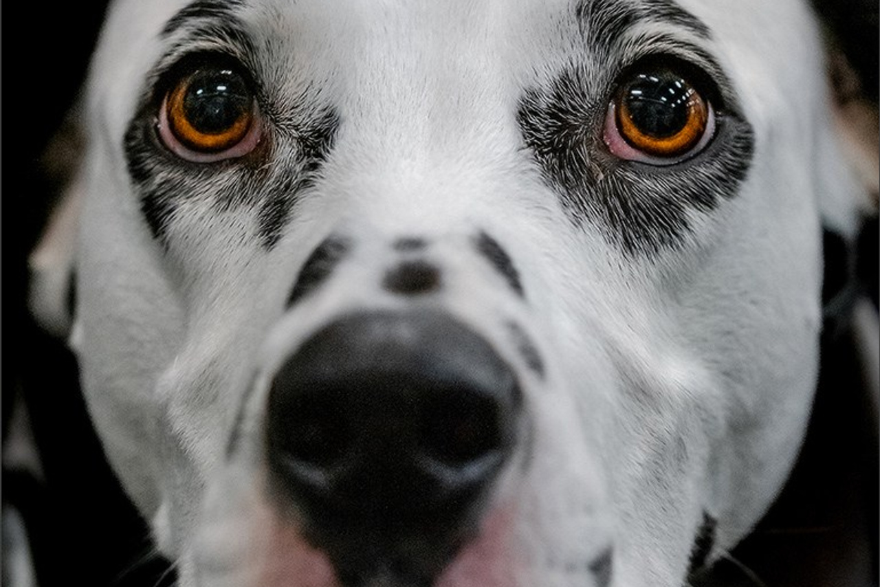 Blog. Photographe à Strasbourg | Portraits, Studio, Enfants, Événements