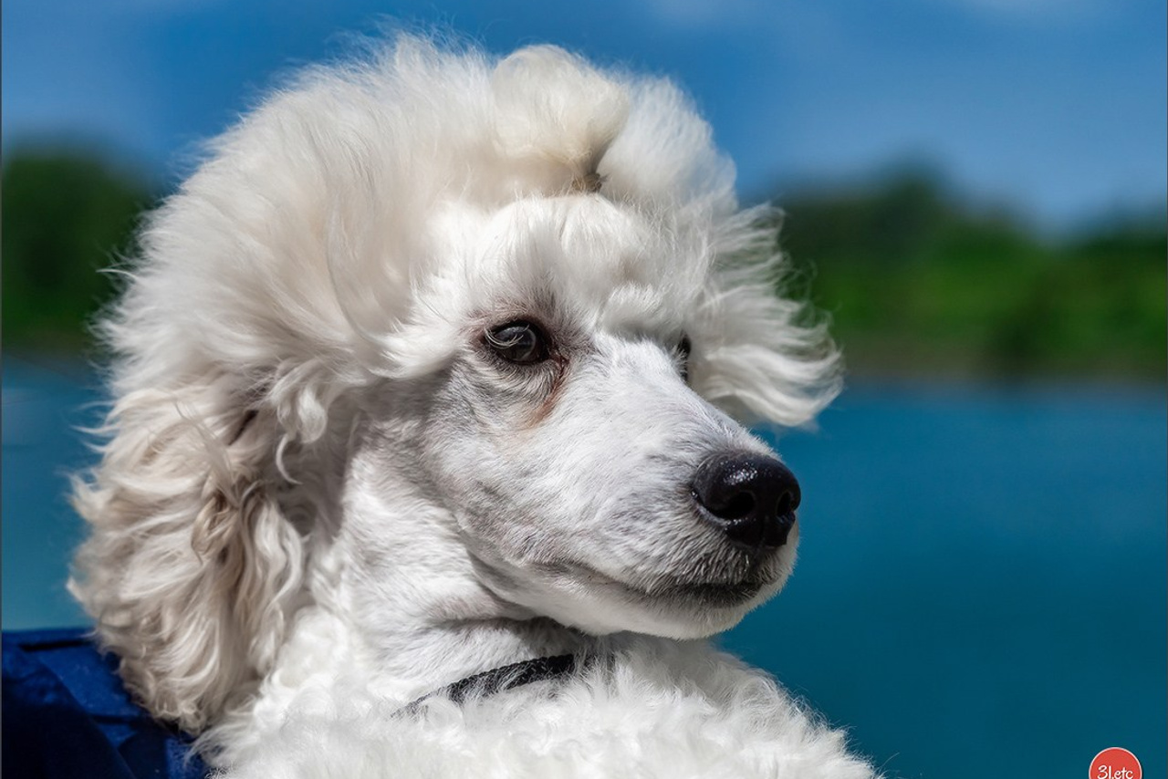 Blog. Photographe à Strasbourg | Portraits, Studio, Enfants, Événements