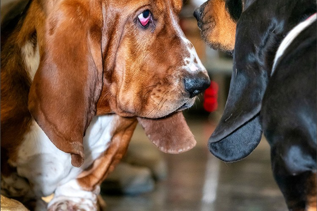 Blog. Photographe à Strasbourg | Portraits, Studio, Enfants, Événements