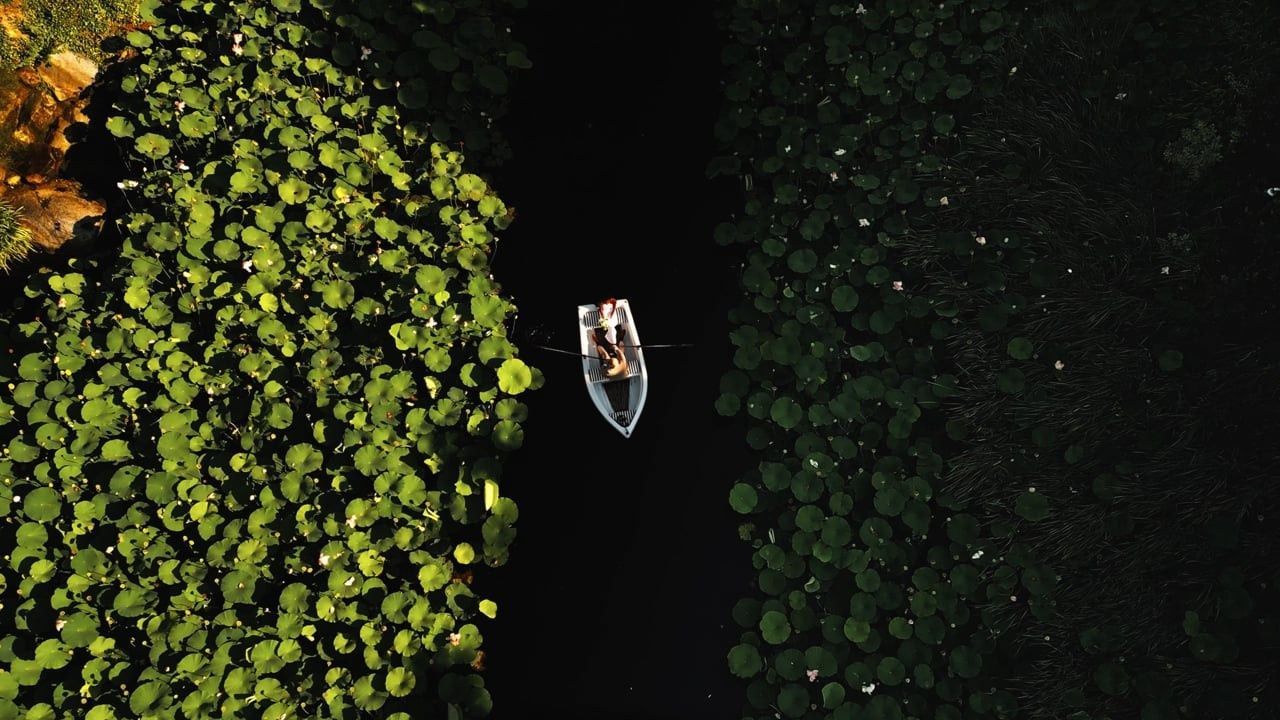 Weddings. Worldwide videography