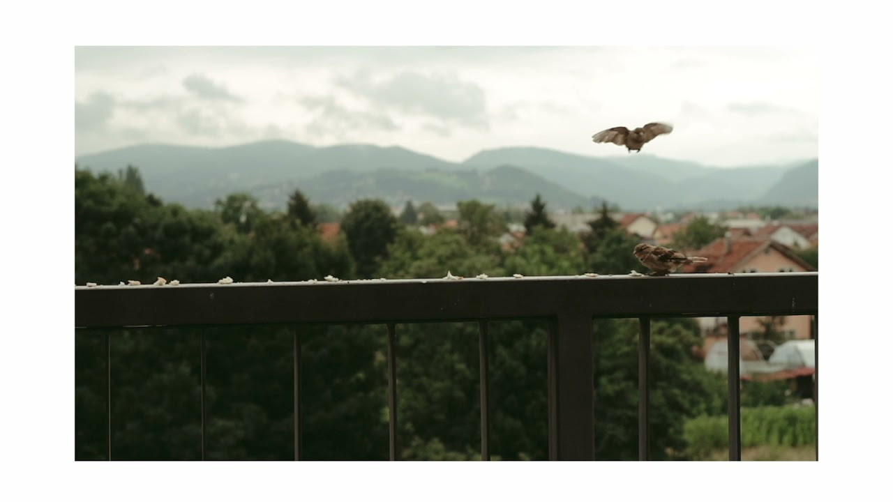 Personal. Profesionalna Fotografija i Videografija | Sarajevo | yasinemir.com