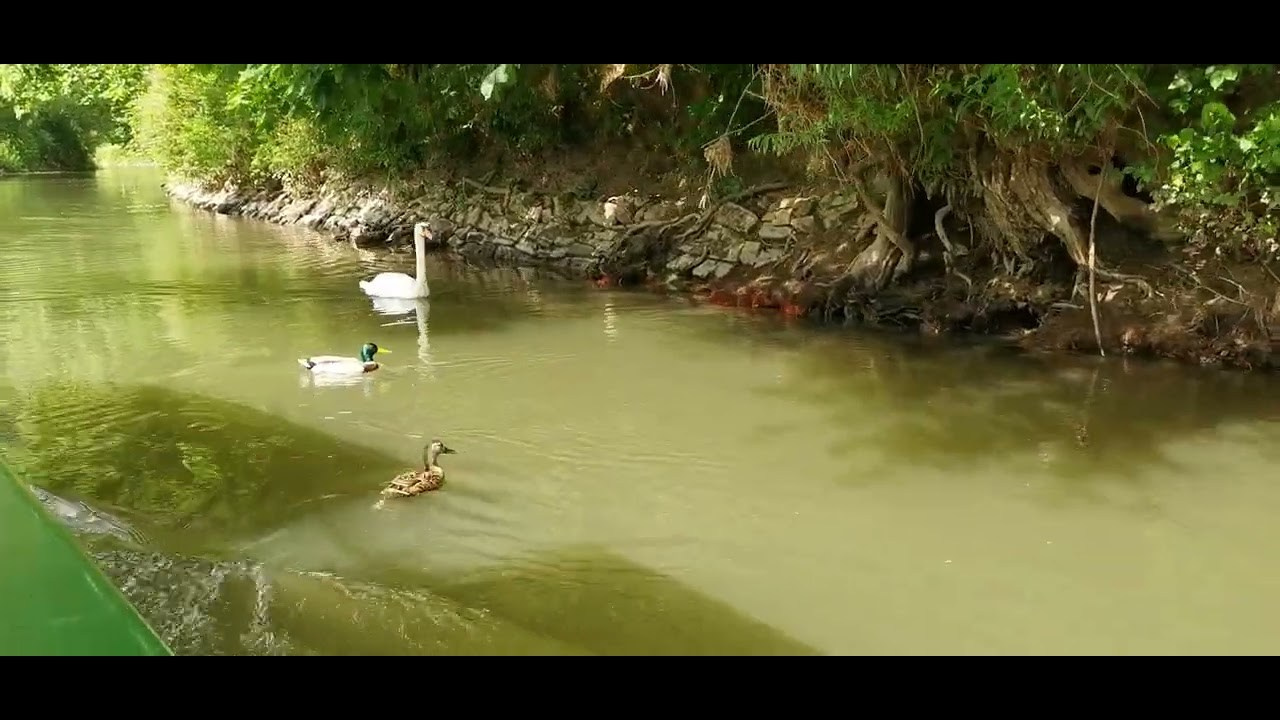Бад Киссинген. Elina Reisen. Туристическое агентство в Аугсбурге