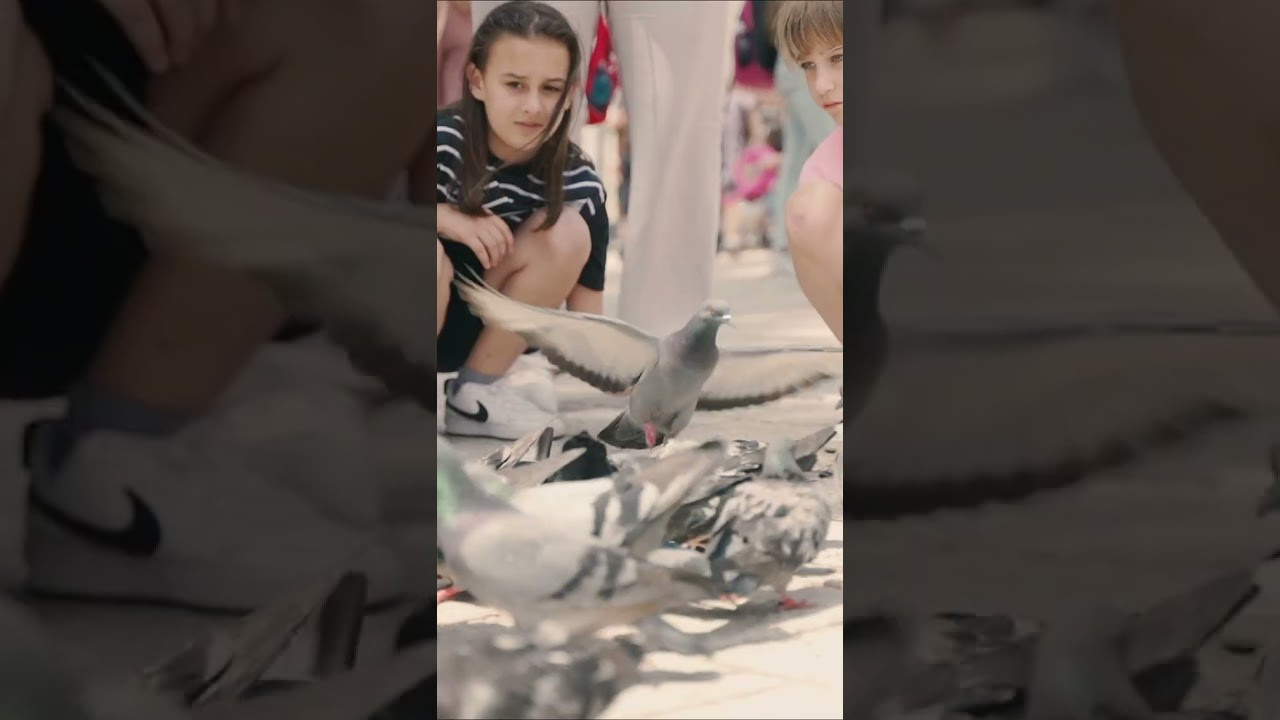 REELS. Vural Sahin I Photography & Videography