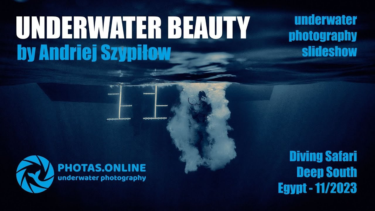UNDERWATER BEAUTY - underwater photography slideshow from Red Sea Diving Safari. Андрей Шипилов — Фотография & Видеография