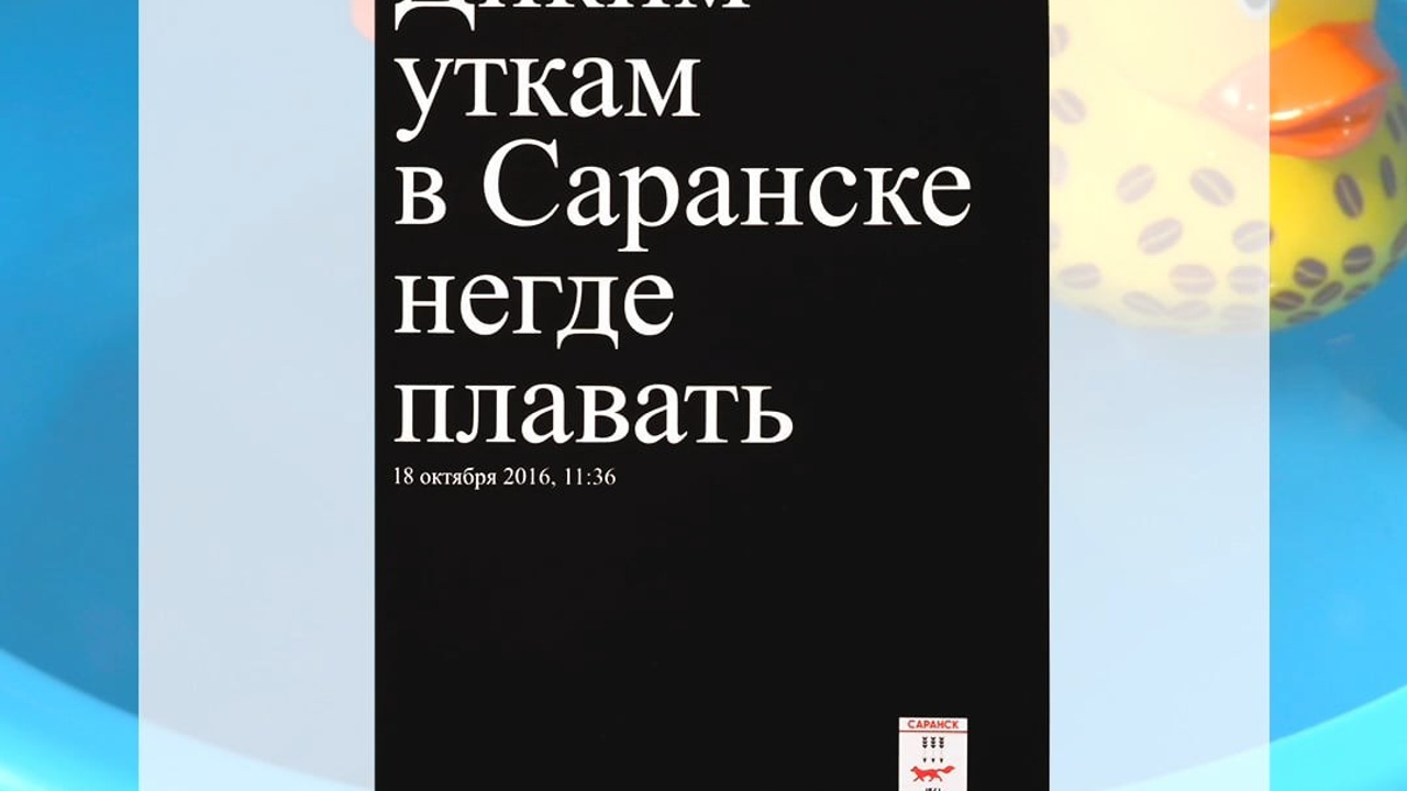 Falafel books. Photographe de produits et natures mortes à Paris