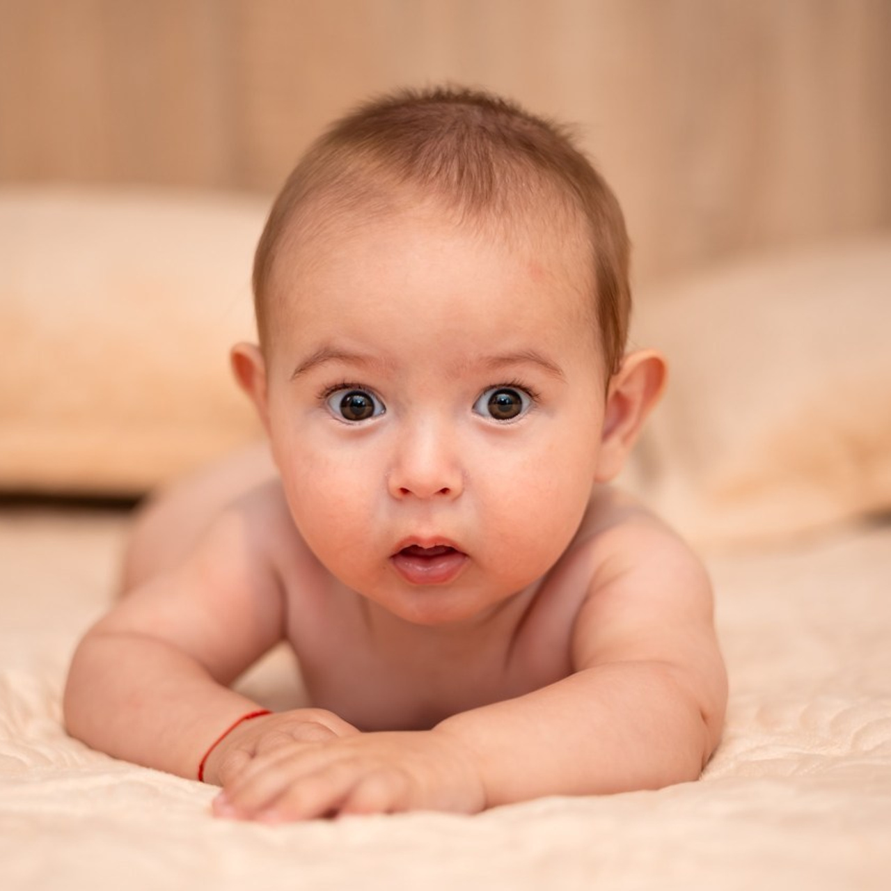 Testimonials. Alutza Visuals