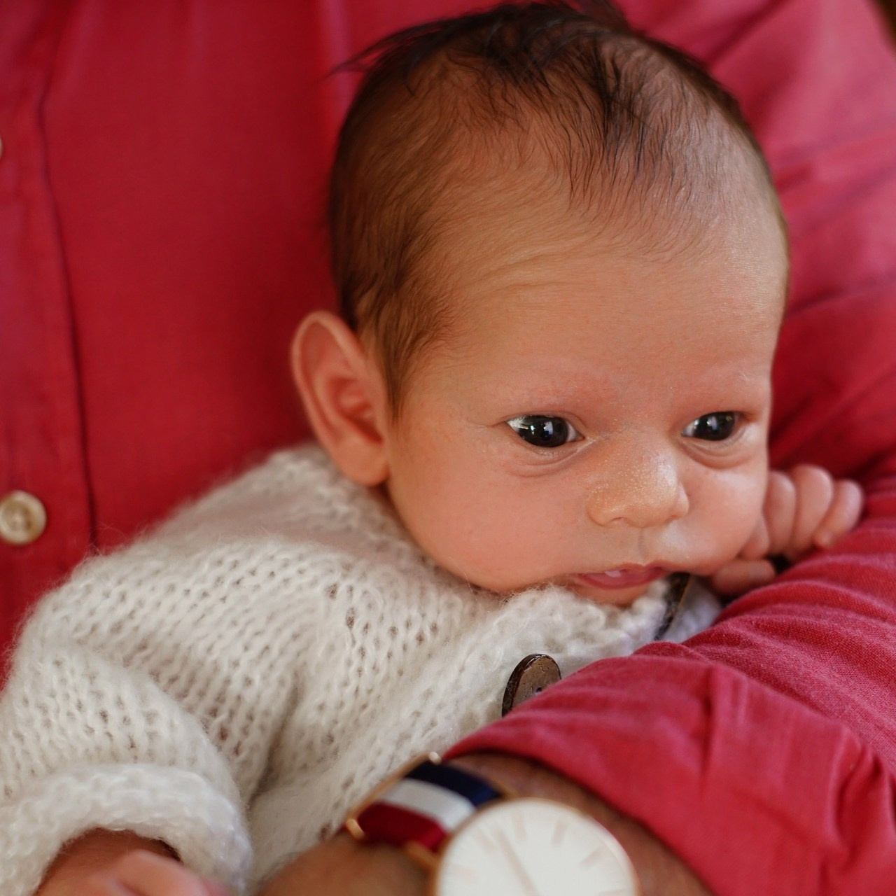 Revues. Petit trésor photos de famille, grossesse et nouveau-né à Roanne