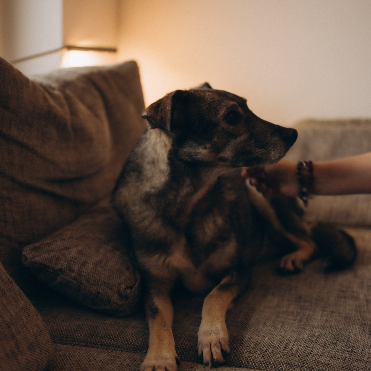 Témoignages. Семейный фотограф во Франции (Мец, Люксембург)
