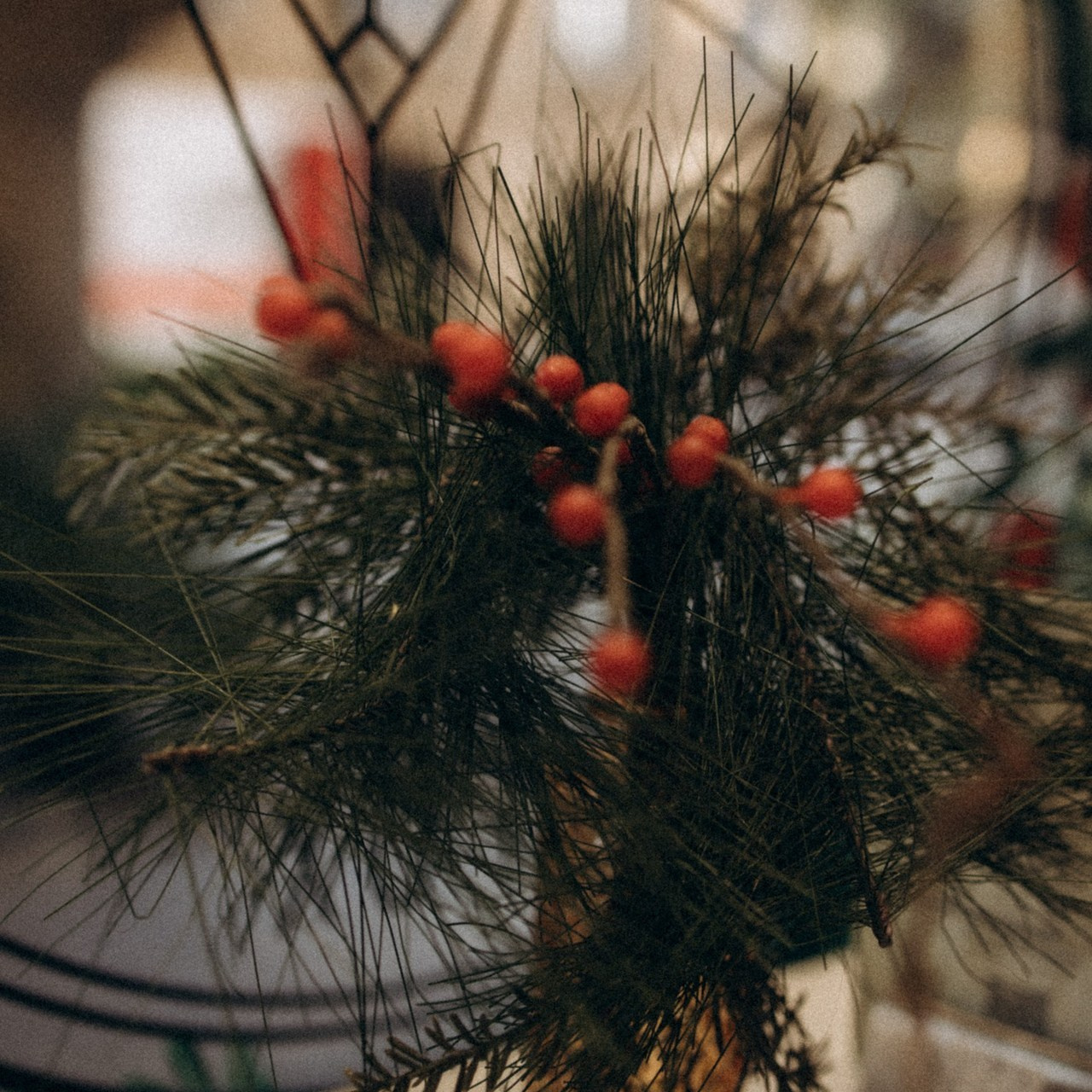 Témoignages. Семейный фотограф во Франции (Мец, Люксембург)