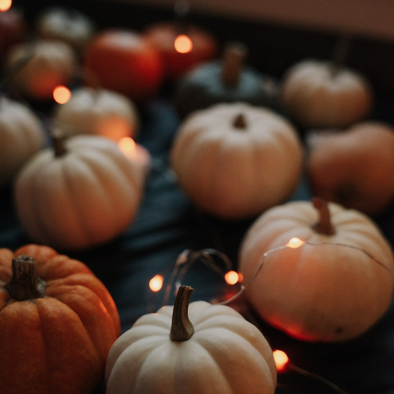 Отзывы. Lera Berg — портретный фотограф и ретушер в Мюнхене