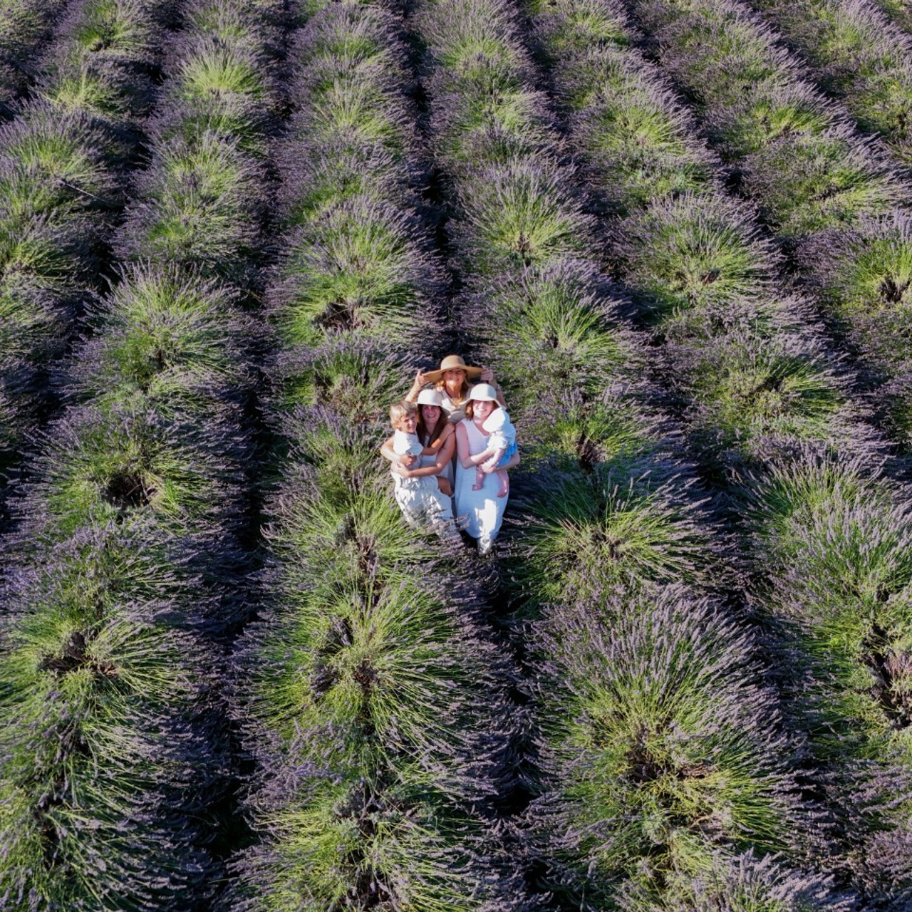 Recensioni Elena Radchenko Fotografo. Fotografo Videomaker Drone Padova Venice Italy Elena Radchenko