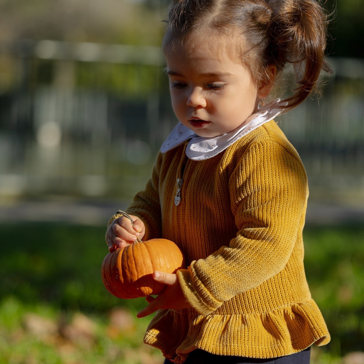 Recensioni Elena Radchenko Fotografo. Fotografo Videomaker Drone Padova Venice Italy Elena Radchenko