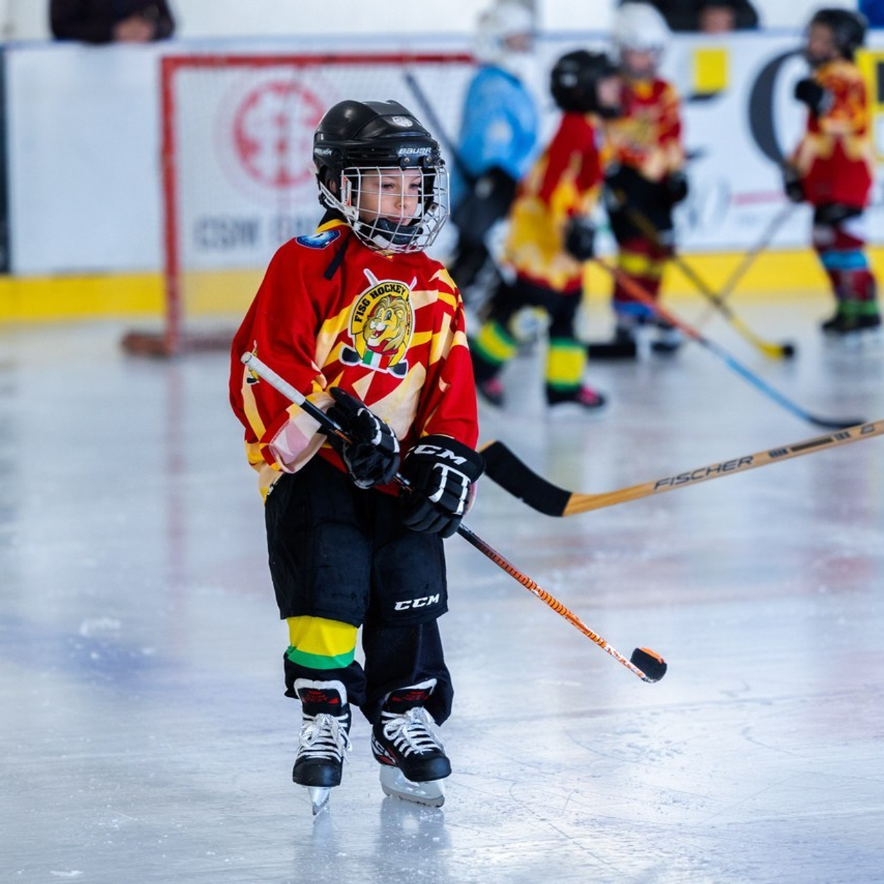 Recensioni Elena Radchenko Fotografo. Fotografo Videomaker Drone Padova Venice Italy Elena Radchenko