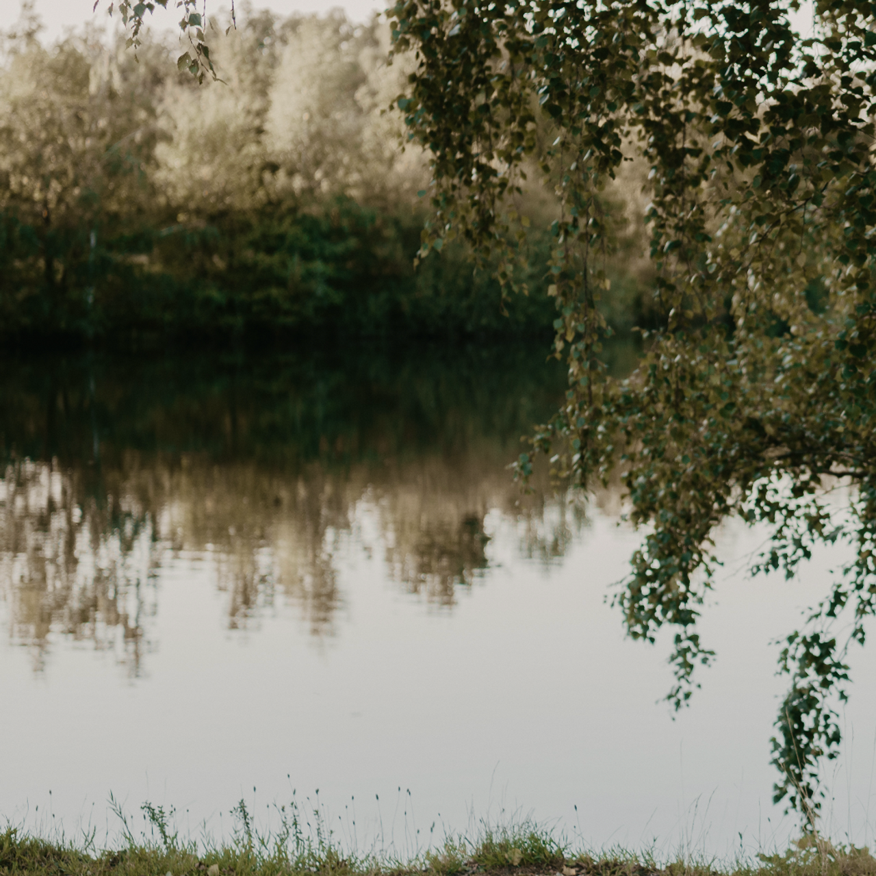 Testimonials. Maternity Newborn and Family photographer Hamburg Claire Hambley