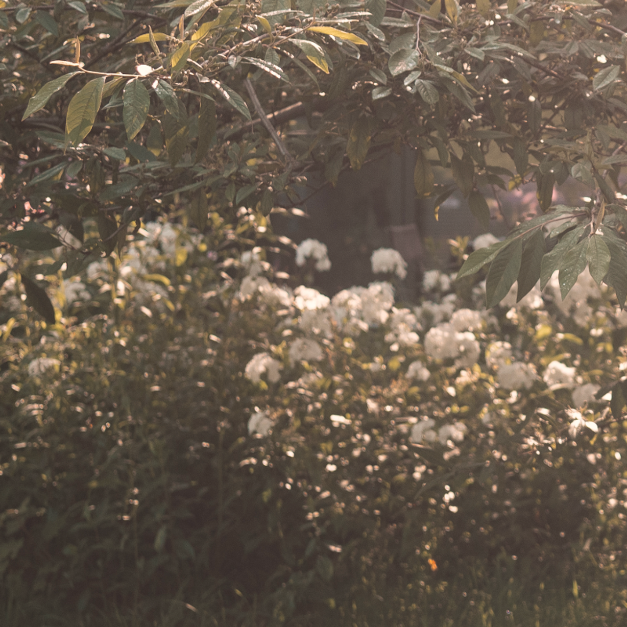 Testimonials. Maternity Newborn and Family photographer Hamburg Claire Hambley